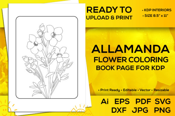Allamanda Flower Coloring Book Page Kdp: Graphics & Coloring Pages