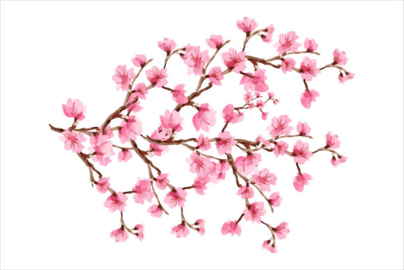 Cherry Blossom Branch Tree Graphics & Templates