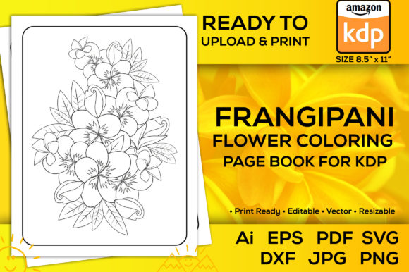 Frangipani Flower Coloring Pages Graphics