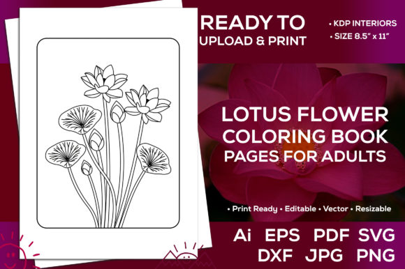 Lotus Flower Coloring Pages Graphics