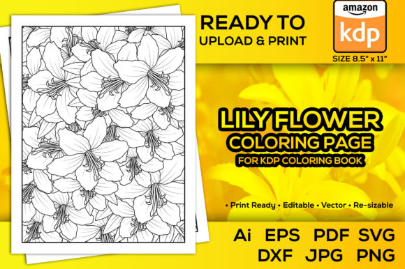 Pink Lily Flower Coloring Book Pages Pdf: Graphics & Coloring Pages