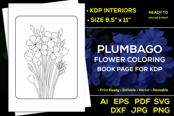 Plumbago Flower Coloring Book Page Kdp: Graphics for Kdp Interiors