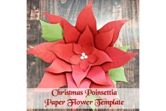 Poinsettia Christams Giant Paper Flower Templates for 3D SVG and Paper Flowers
