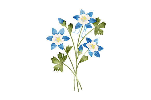 Watercolor Blue Columbine Flowers: Nature-Inspired Crafts Asset